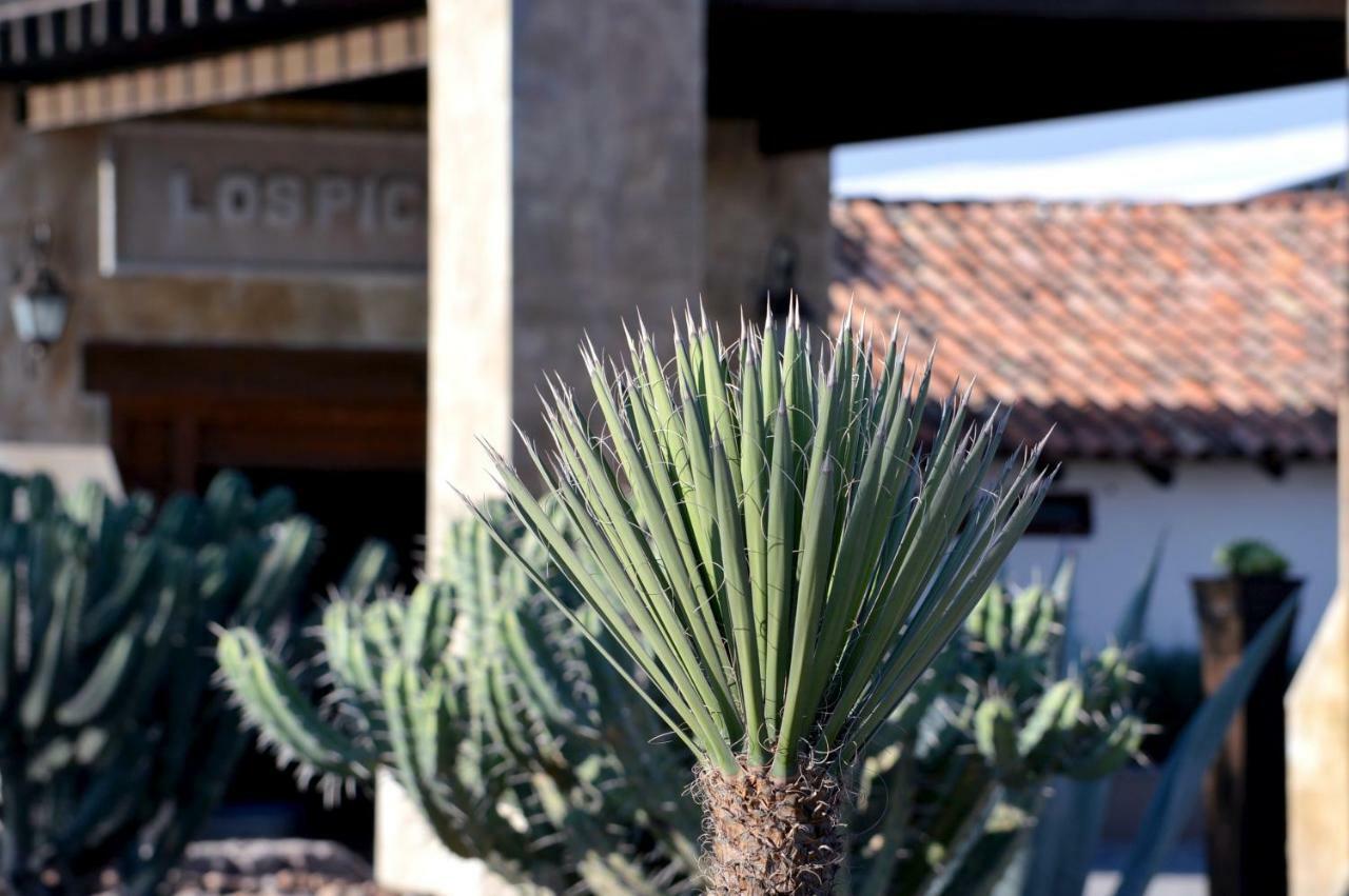 Hacienda Los Picachos サン・ミゲル・デ・アジェンデ エクステリア 写真