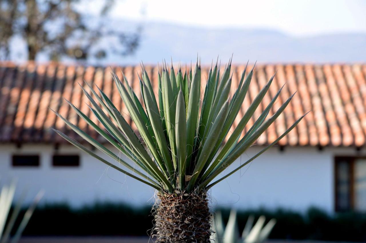 Hacienda Los Picachos サン・ミゲル・デ・アジェンデ エクステリア 写真